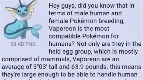 9 pounds, this means they&x27;re large enough to be able handle human dicks, and with their impressive Base Stats for HP and access to. . In terms of human and pokemon breeding